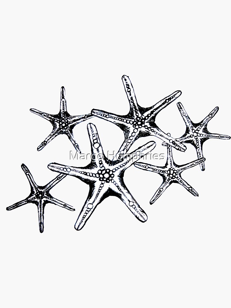 Starfish 1 by kasarnDesigns