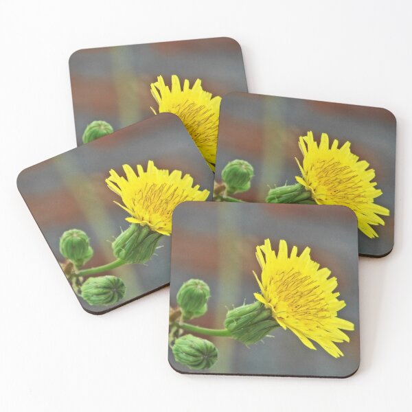 Item preview, © Effloresce Amarillo NS designed and sold by OmarHernandez.