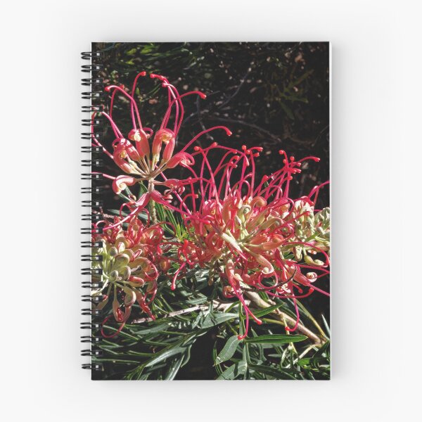 Item preview, Red grevillea Currie garden 20190517 0387  designed and sold by Fred Mitchell.