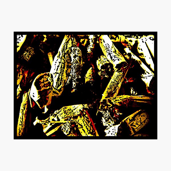 Ashes To Ashes Photographic Print