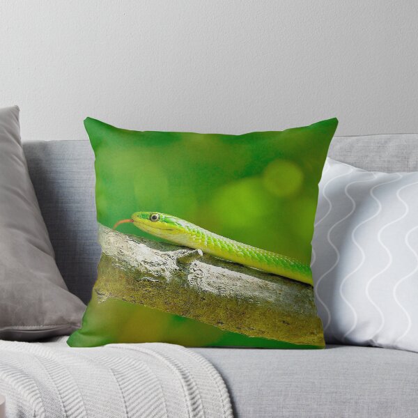 Item preview, Green Snake designed and sold by Da Vincie .