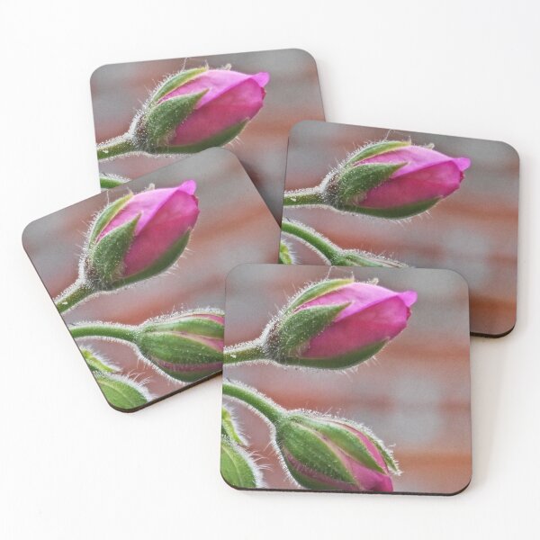 Item preview, NS Malva Blooms© designed and sold by OmarHernandez.