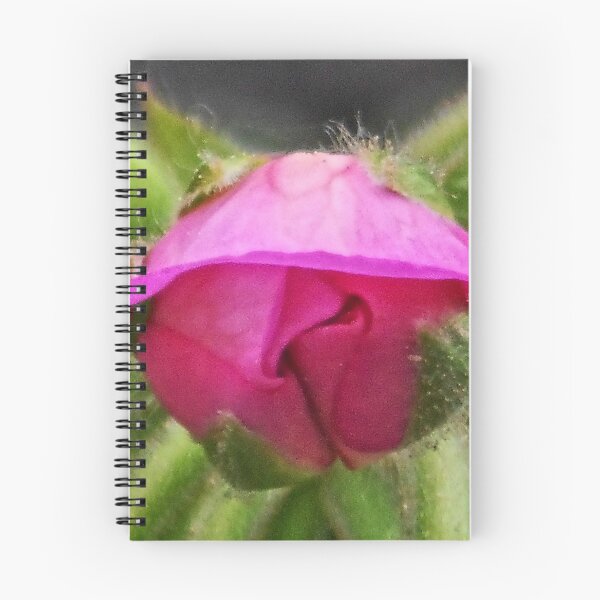 Item preview, NS Malva Bloom© designed and sold by OmarHernandez.