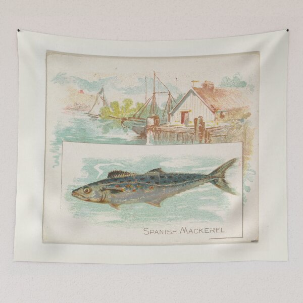 Item preview, Vintage Spanish Mackerel Fish Illustration (1889) designed and sold by BravuraMedia.