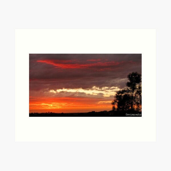 Sunset Silhouette Art Print