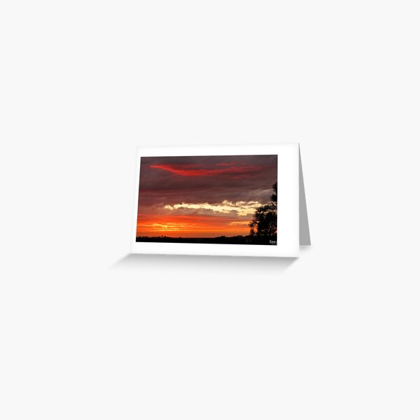 Sunset Silhouette Greeting Card