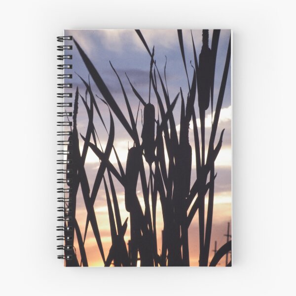 Item preview, Cattails at sunset.   designed and sold by RichImage.
