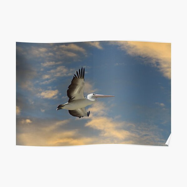 Cruising the Airways Poster