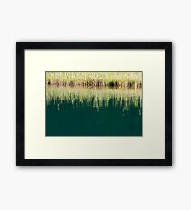 Shore Framed Print