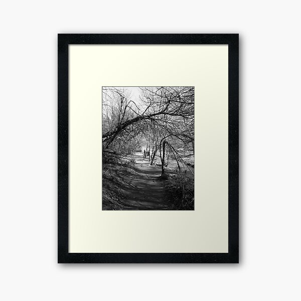 THE DANCE OF THE BRANCHES. Framed Art Print