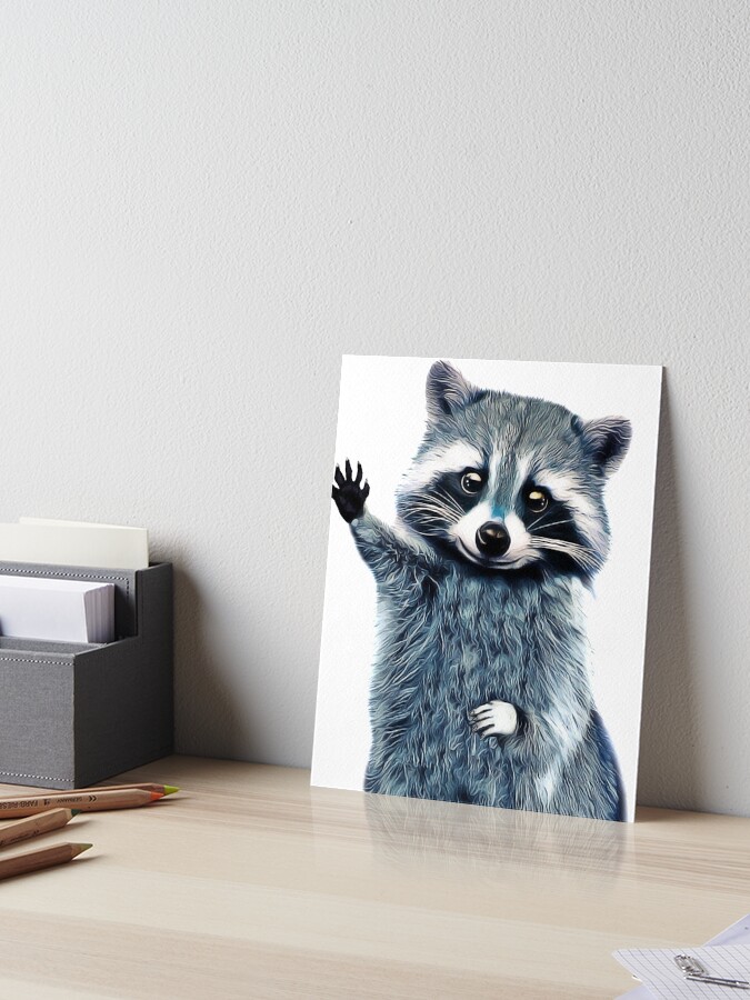 Raccoon tee Clearance