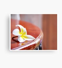 Serenity Metal Print