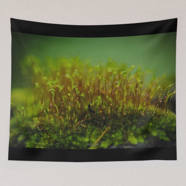 Item preview, Moss Macro designed and sold by Keith's Photo Artistry.