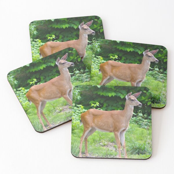 Item preview, Black-tailed deer designed and sold by RichImage.