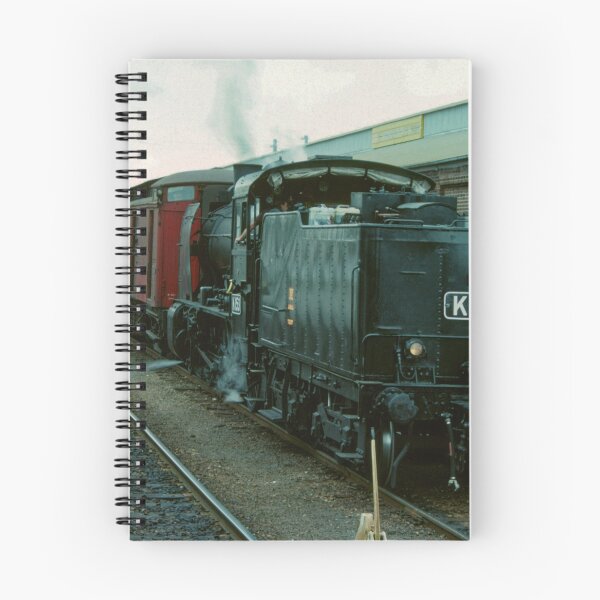 Item preview, Passenger train at Wodonga 19810320 0025  designed and sold by Fred Mitchell.