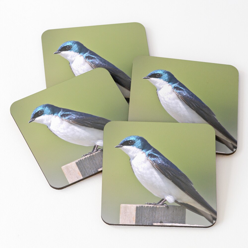 Item preview, Coasters (Set of 4) designed and sold by RichImage.