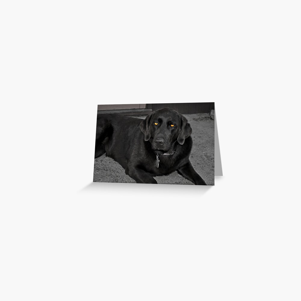 Item preview, Greeting Card designed and sold by Jdubphotog.