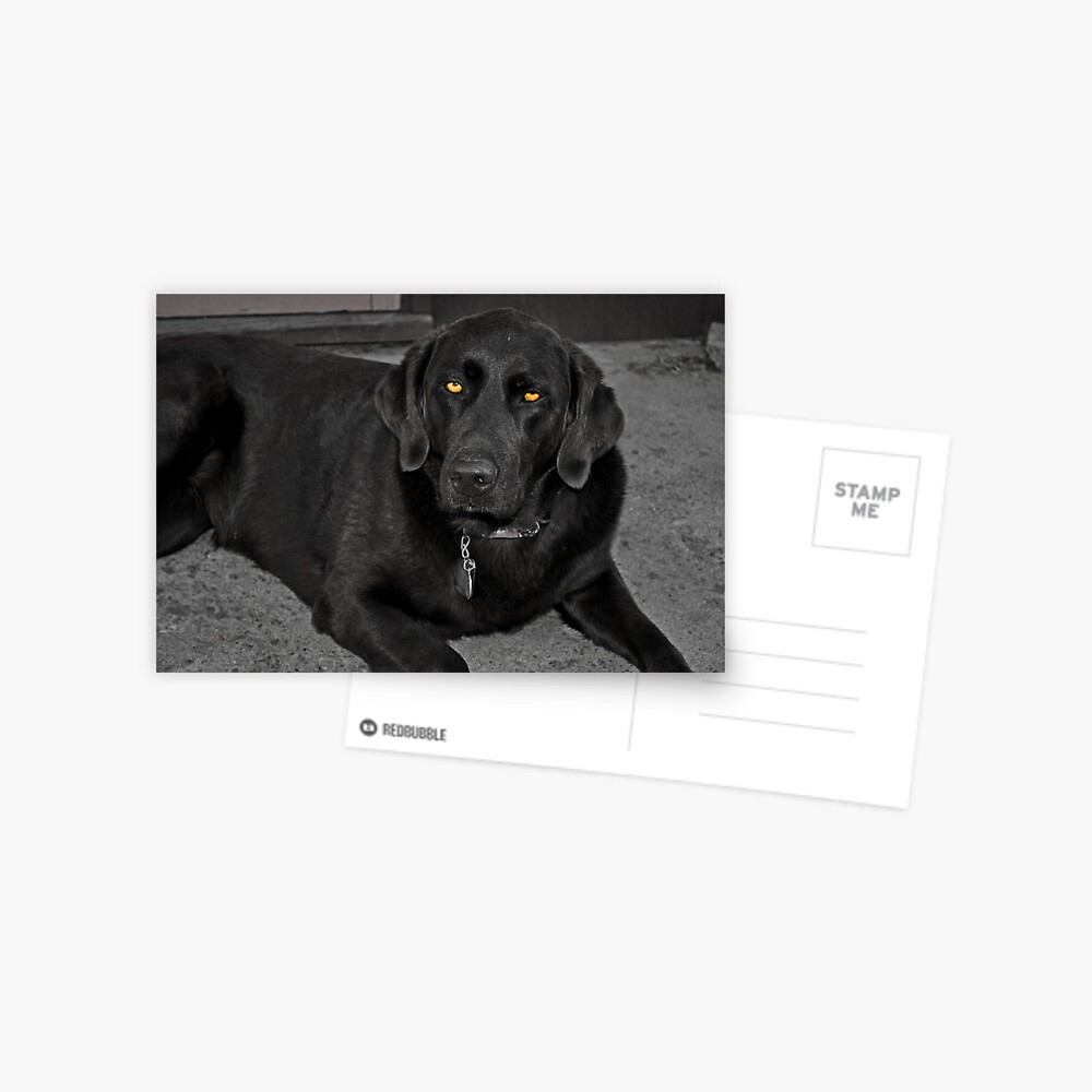 Item preview, Postcard designed and sold by Jdubphotog.