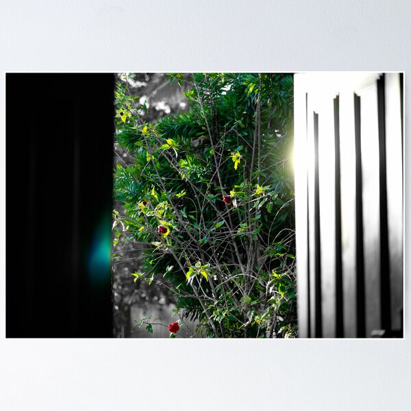 Item preview, An open door designed and sold by AdamJonesNZ.