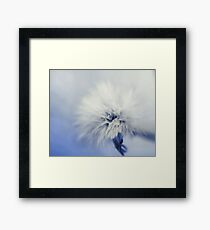 Halo Framed Print