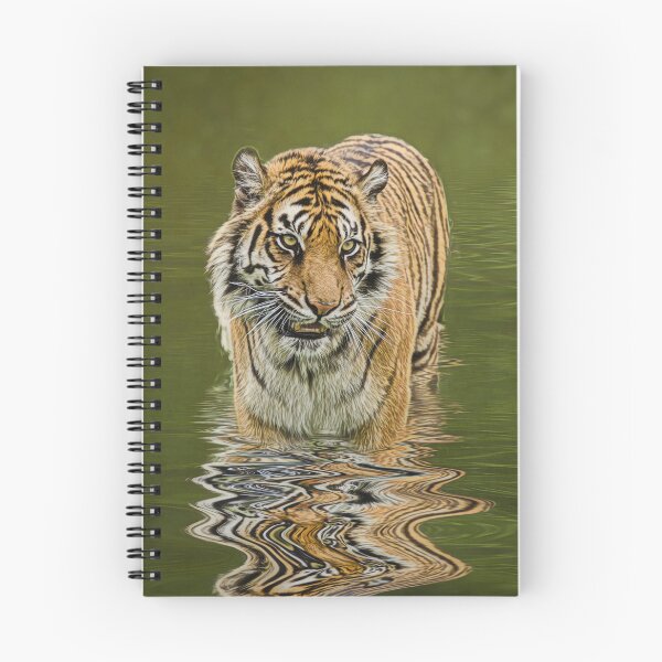 Item preview, Tiger Reflections designed and sold by Brian Tarr.