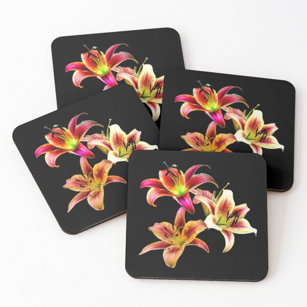 Item preview, Elegant Trio of Duotone Daylilies designed and sold by walkswithnature.