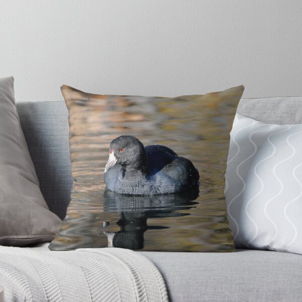 Item preview, Coot... designed and sold by Karen  Helgesen.