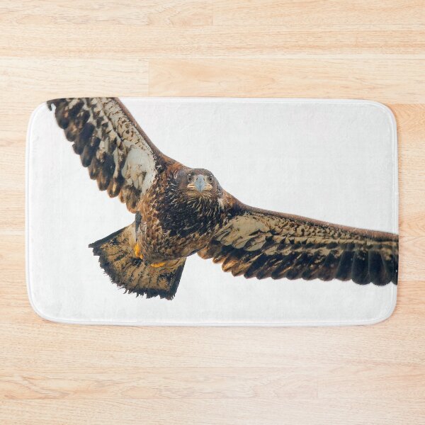 Item preview, Breathtaking Flyby of a Young Bald Eagle designed and sold by walkswithnature.