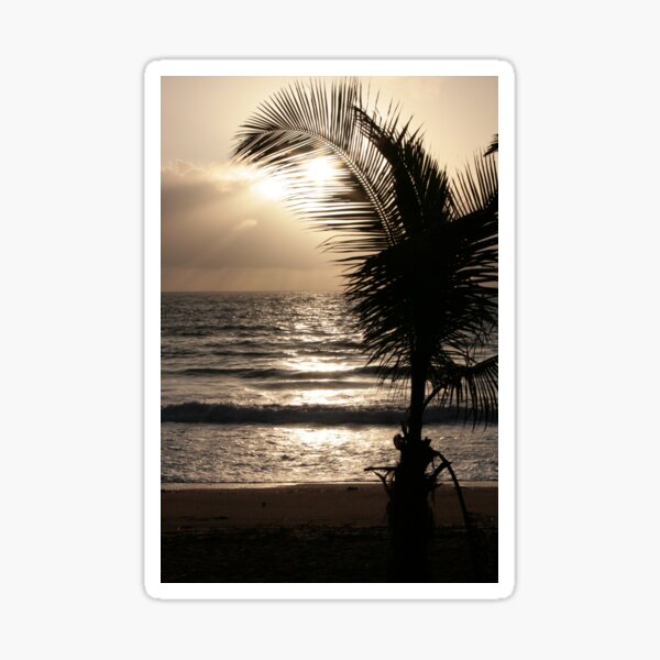 Sun Palm 2008 Sticker