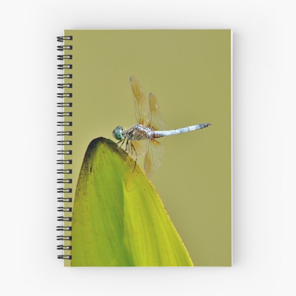 Item preview, Balancing Act designed and sold by Scott Mitchell.