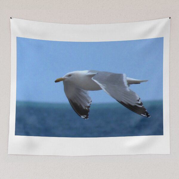 Item preview, Goeland hovering designed and sold by alanoix.