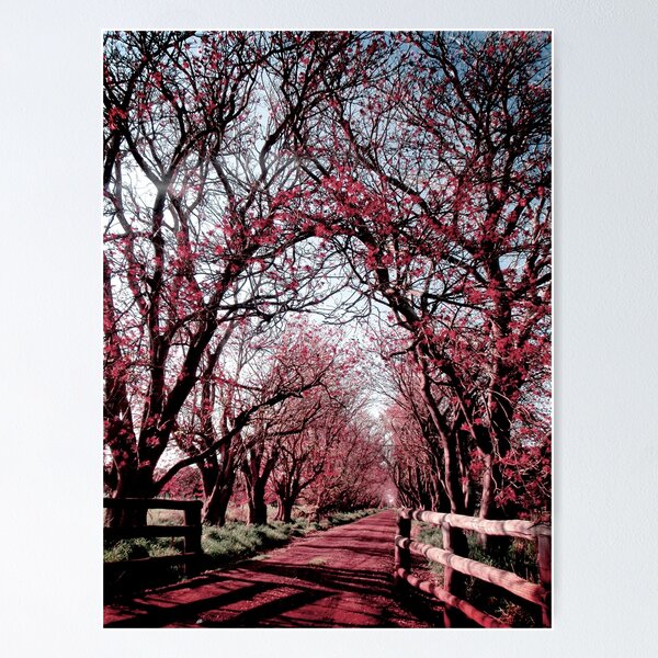 Item preview, erythrina avenue designed and sold by Naia.