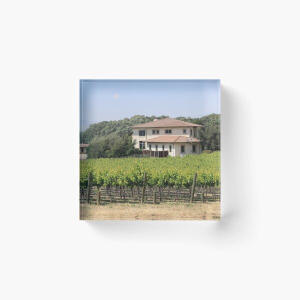 Item preview, Vinyard mansion  designed and sold by maventalk.