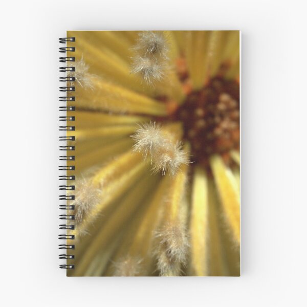 Item preview, Decoration designed and sold by Ben Loveday.
