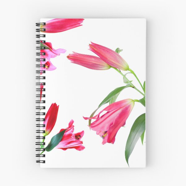 Item preview, Starburst Lily 1 designed and sold by M-SWM.