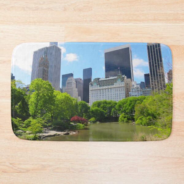 Item preview, NYC Central Park : the pond designed and sold by AHELENE.