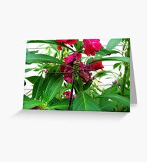 Big Eyes Greeting Card
