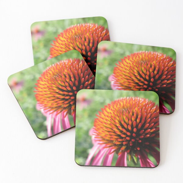 Item preview, Echinacea Beauty designed and sold by square1studio.
