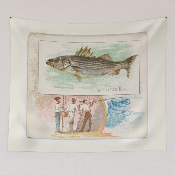 Item preview, Vintage Striped Bass Illustration (1889) designed and sold by BravuraMedia.