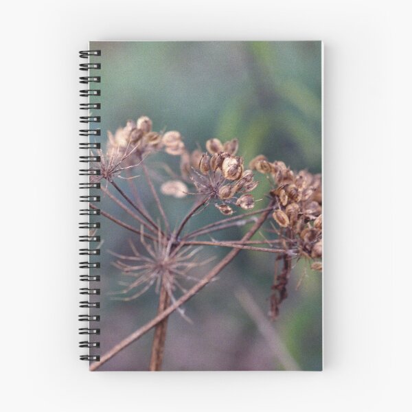 Item preview, Feels like fall designed and sold by Debjaphotography.