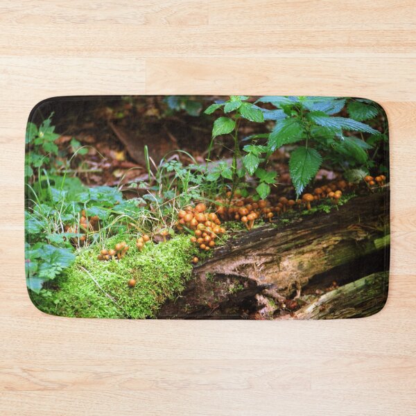 Item preview, Fallen tree mini ecosystem designed and sold by Debjaphotography.