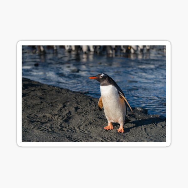 Item preview, I am Gentoo  designed and sold by Mark Prior.