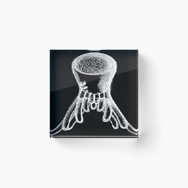 Item preview, A magnified sea anemone polyp  designed and sold by ZoologyKat.