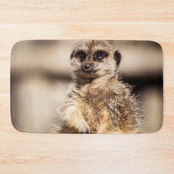 Item preview, Cute Meerkat designed and sold by LauraKCaldPhoto.