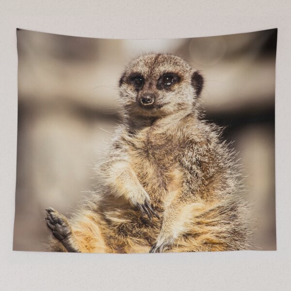 Item preview, Cute Meerkat designed and sold by LauraKCaldPhoto.