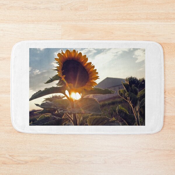 Item preview, Sunset with sunflower designed and sold by Martin Langer.