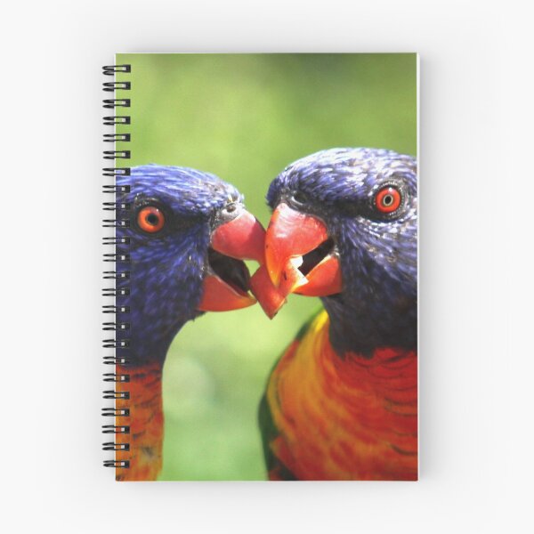 Item preview, Love Birds designed and sold by Jo Nijenhuis.