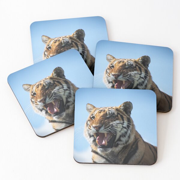 Item preview, Snarling Tiger designed and sold by LauraKCaldPhoto.