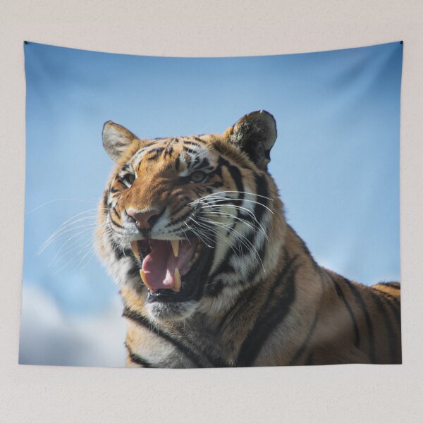 Item preview, Snarling Tiger designed and sold by LauraKCaldPhoto.