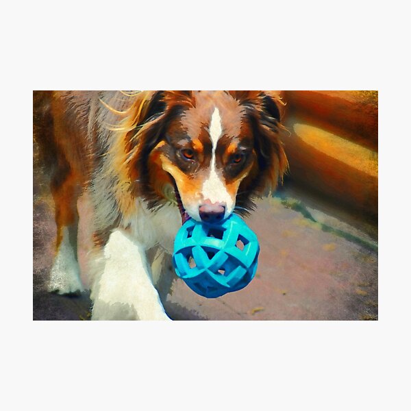 Artikelvorschau, Freyja und der blaue Ball entworfen und verkauft von Diane  Marie Kramer.